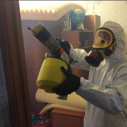 Уничтожение клопов в квартире. Теберда